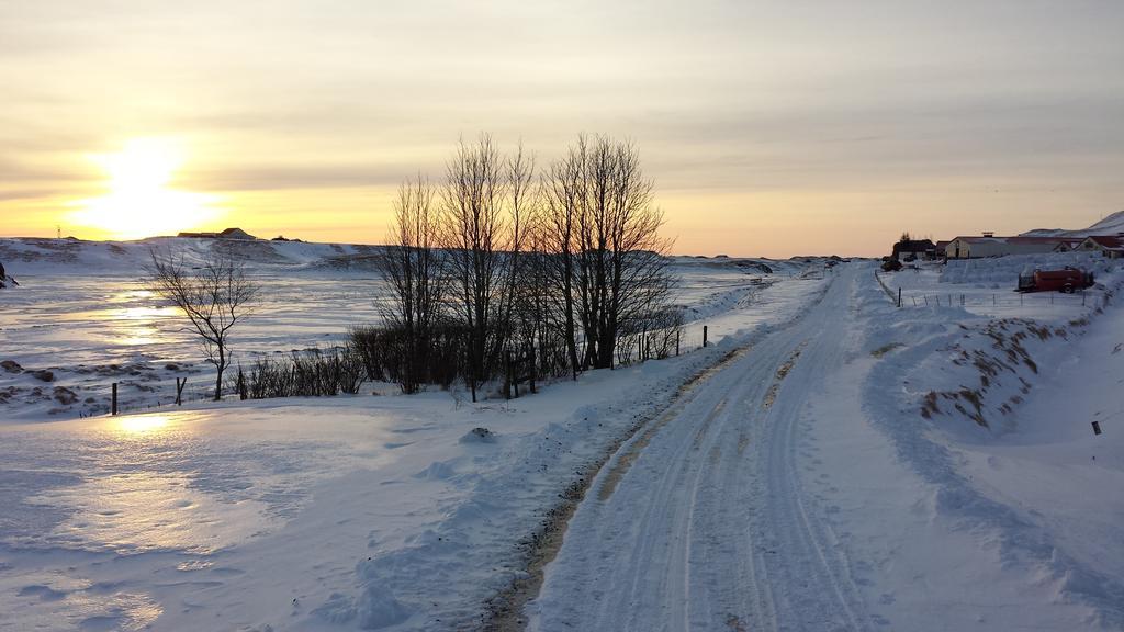 Eldhraun GuesthouseSouth Iceland エクステリア 写真