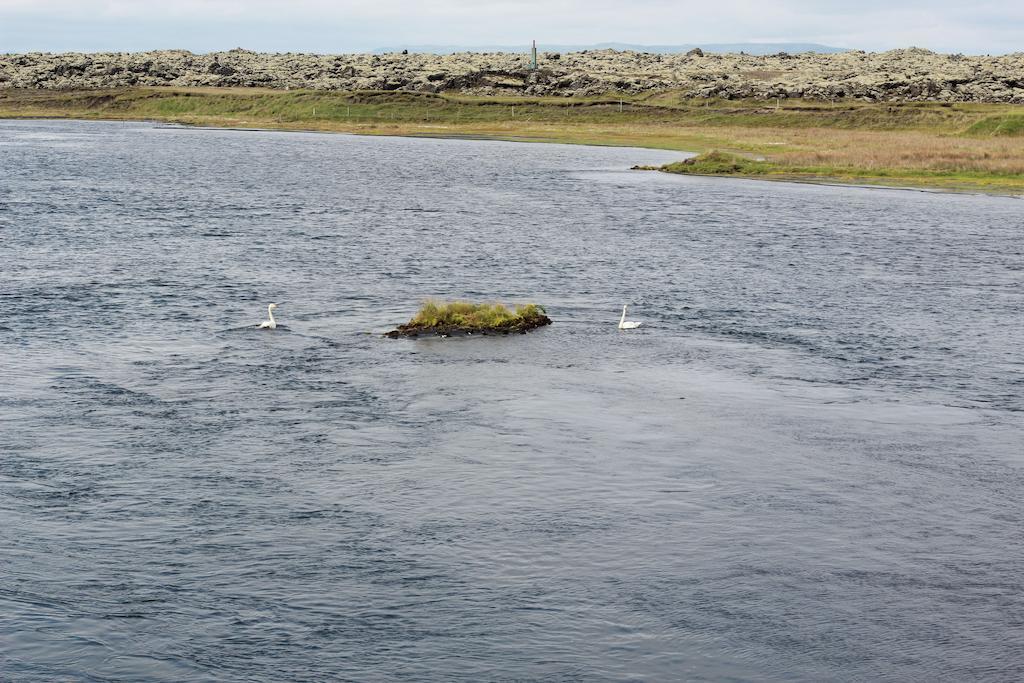 Eldhraun GuesthouseSouth Iceland エクステリア 写真